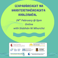 CEAPADÓIREACHT na hARDTEISTIMÉIREACHTA - GAEILGE